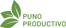 PUNO PRODUCTIVO